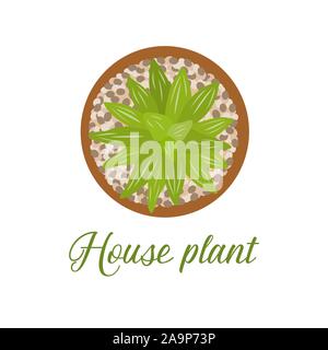 Vector Illustration mit Haus auf weißem Hintergrund. Topfpflanzen Zimmerpflanze. Grün Natur Dekor für Haus und Interieur. Trendy Hintergrund. Fl Stock Vektor