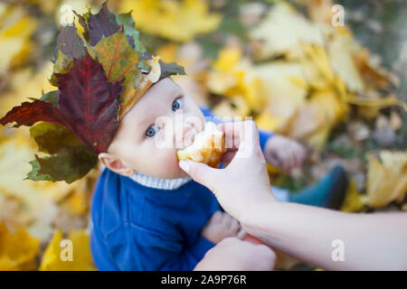 Ein Jahr alten Baby auf einem Herbst laufen. Schönes Kind in creoron von Herbstlaub isst einen Apfel Stockfoto