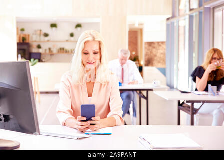 Schuss zuversichtlich Buchhalter Geschäftsfrau Sms während der Arbeit am Computer in den Laptop. Stockfoto