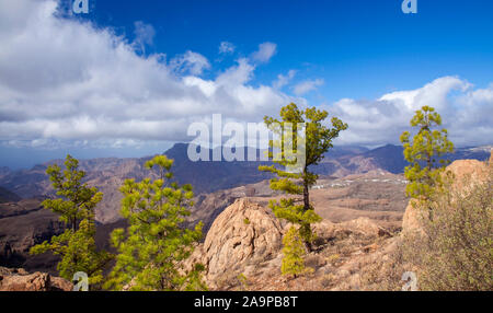 Gran Canaria, November, Aussicht vom Felsvorsprung Morro de Pajonales Stockfoto