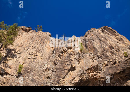 Gran Canaria, November, an steilen Felsen Morro de Pajonales Stockfoto