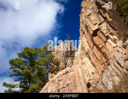 Gran Canaria, November, an steilen Felsen Morro de Pajonales Stockfoto