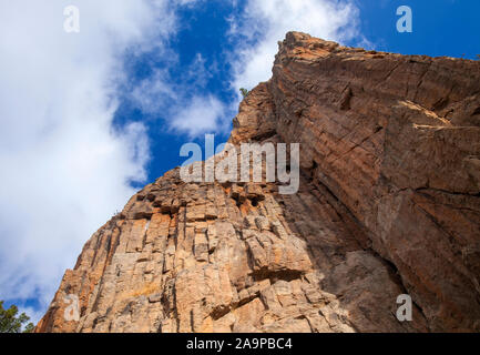 Gran Canaria, November, an steilen Felsen Morro de Pajonales Stockfoto