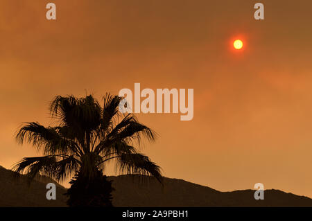 Palm Springs, Kalifornien - Juli 2018: Die Wüste in Palm Springs und Joshua Tree National Park Stockfoto