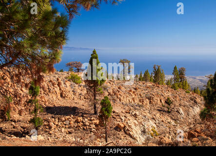 Teneriffa, Süden - zentrale Gemeinde Vilaflor, Mount Guajara - villaflor Wanderung, vulkanische Landschaften Stockfoto