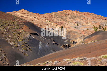 Teneriffa, Süden - zentrale Gemeinde Vilaflor, Mount Guajara - villaflor Wanderung, vulkanische Landschaften Stockfoto