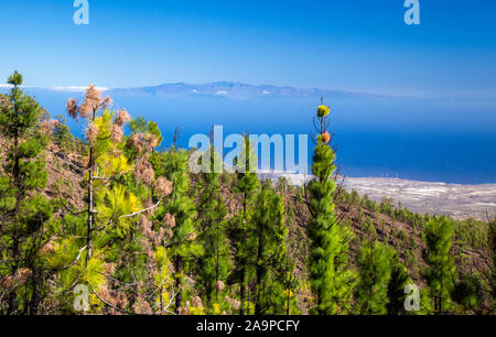 Teneriffa, Süden - zentrale Gemeinde Vilaflor, Mount Guajara - villaflor Wanderung, vulkanische Landschaften Stockfoto