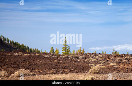 Teneriffa, Aussicht vom Mirador del Teide Narices Viewpoint, La Gomera Silhouette Stockfoto