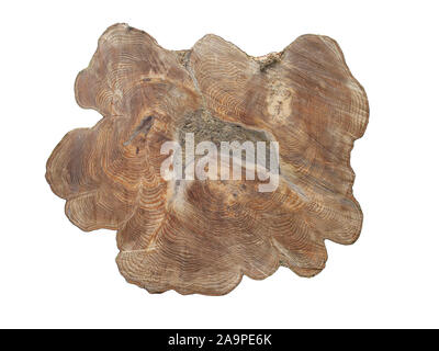 Ein baumstumpf, nachdem der Baum hatte über die Straße gefallen. Ein frisch geschnittenen Baum gibt einen dunkleren Braun Farbton, wie Feuchtigkeit noch vorhanden ist. Stockfoto