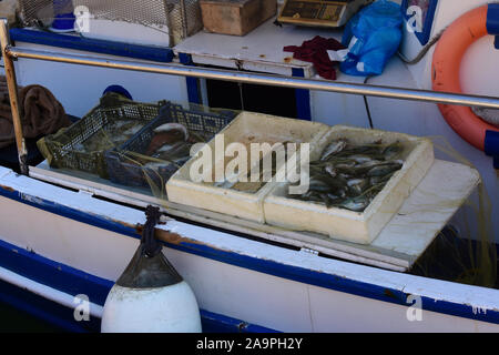 Boxen von frisch gefangenen Fisch auf dem Display an Bord einer typischen kleinen griechischen Fischerboot, am Kai in der Hauptstadt Argostoli vertäut. Stockfoto