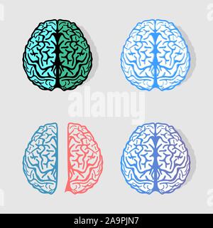 Set aus bunten Vektor Gehirne Logos. Sammlung der Anatomie Elemente. Gruppe der Intelligenz. Hellen Hemisphären. Wissenschaftliche Logos. Medizinische Stock Vektor