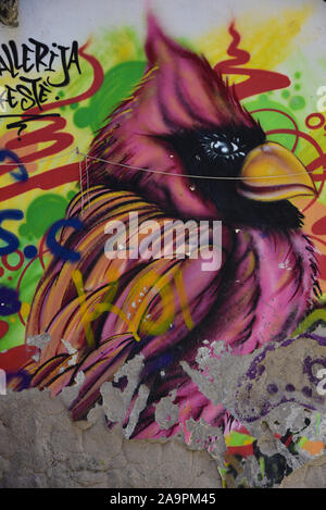 Pulsierende urbane Graffiti, eine typische Szene in der ganzen Stadt, Spaccanapoli, Neapel, Italien, Europa. Stockfoto