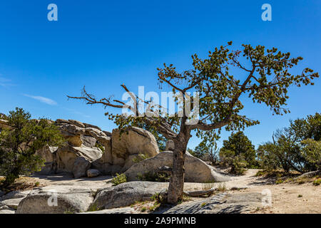 Die Stadt der Felsen in Idaho markiert die Halbzeit der California Trail und bietet heute rock Aktivitäten klettern. Stockfoto