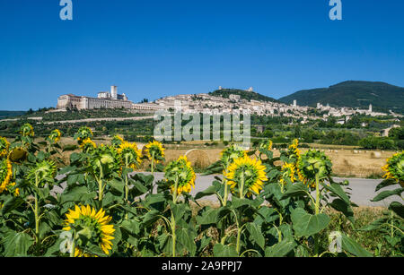 Panoramablick auf die Landschaft von Assisi, eine Stadt in der italienischen Region Umbrien, dem Geburtsort des Heiligen Franziskus Stockfoto