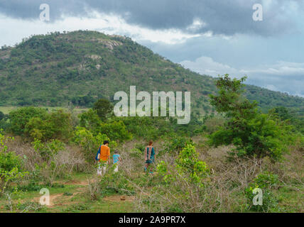 Eine Gruppe von Reisenden entlang eine Trail fahren durch eine Wiese - fotografiert am Dorfrand von bandipur National Park (Karnataka, Indien) Stockfoto