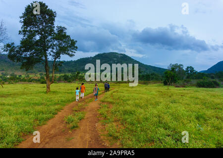 Eine Gruppe von Reisenden entlang eine Trail fahren durch eine Wiese - fotografiert am Dorfrand von bandipur National Park (Karnataka, Indien) Stockfoto