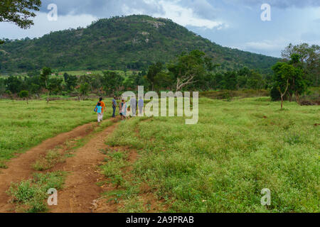 Eine Gruppe von Reisenden entlang eine Trail fahren durch eine Wiese - fotografiert am Dorfrand von bandipur National Park (Karnataka, Indien) Stockfoto