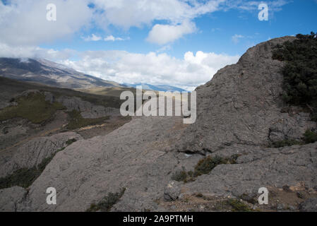 Paramo in der Chimborazo Reserve (Reserva de Producción de Fauna Chimborazo) auf 4300 Meter gerade am Fuße des Chimborazo Vulkan in Ecuador. Stockfoto