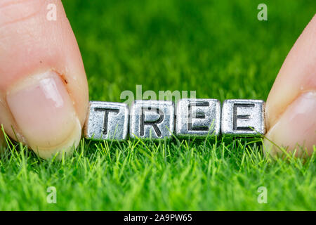 Nahaufnahme auf Wort Baum in Metall Buchstaben auf Gras gelegt geschrieben und zwischen die Finger einer Frau. Konzept der Biodiversität Hintergrund Stockfoto