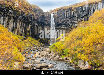 Svartifoss, berühmten Schwarzen Wasserfall, populäre touristische Ort in Island Skaftafel National Park. Herbst, Herbst Stockfoto