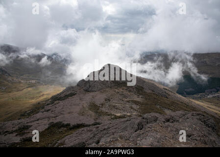 Paramo in der Chimborazo Reserve (Reserva de Producción de Fauna Chimborazo) auf 4300 Meter gerade am Fuße des Chimborazo Vulkan in Ecuador. Stockfoto