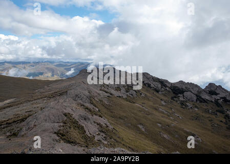 Paramo in der Chimborazo Reserve (Reserva de Producción de Fauna Chimborazo) auf 4300 Meter gerade am Fuße des Chimborazo Vulkan in Ecuador. Stockfoto