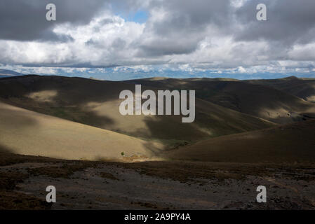 Paramo in der Chimborazo Reserve (Reserva de Producción de Fauna Chimborazo) auf 4300 Meter gerade am Fuße des Chimborazo Vulkan in Ecuador. Stockfoto