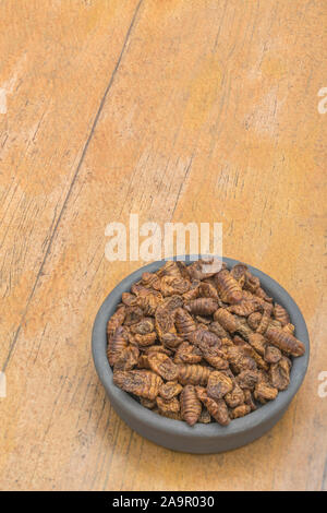 Gerichte der Essbare Insekten. Silkworm Puppen/Bombyx mori auf Faux Holz Hintergrund. Konzept entomophagy, essbare käfer, insekt Superfoods, insekt Snacks. Stockfoto