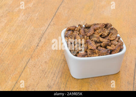 Gerichte der Essbare Insekten. Silkworm Puppen/Bombyx mori auf Faux Holz Hintergrund. Konzept entomophagy, essbare käfer, insekt Superfoods, insekt Snacks. Stockfoto