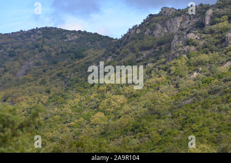 Eiche Wäldern und mediterraner Macchia in Sierra Madrona Park, Südspanien Stockfoto