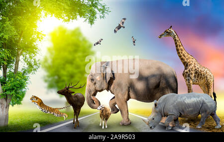 Wildlife Conservation Tag wilde Tiere zu Hause. Oder Wildlife Protection Stockfoto