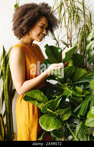 Seitenansicht von Frau Gärtner arbeiten mit Pflanzen an ihrem Workshop Stockfoto