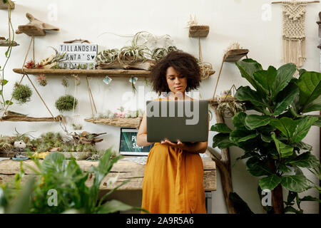 Junge Frau mit Laptop in Ihrem botanischen Studio Stockfoto