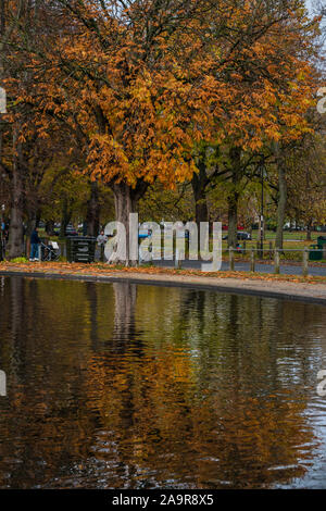 London, Großbritannien. 17. Nov 2019. Herbst Bäume spiegeln sich in den See zum Bootfahren auf Clapham Common, London. Credit: Guy Bell/Alamy leben Nachrichten Stockfoto