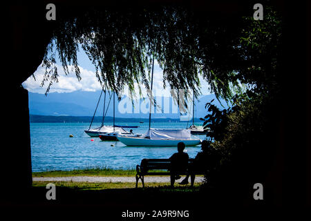 Ein schoener Blick auf den Starnberger See, umrahmt von Baeumen Stockfoto