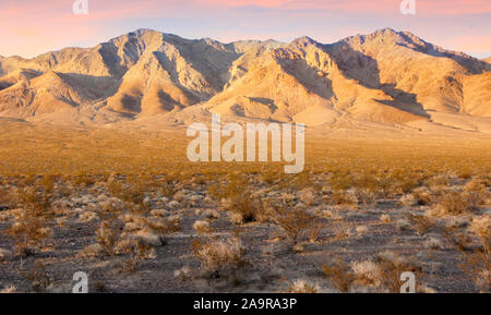 Blick auf den Sonnenuntergang über der Wüste entlang US Hwy 95. Stockfoto