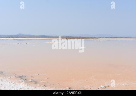 Pink Salt Lake an Den Salinen Torrevieja, Torrevieja, Alicante, Spanien Stockfoto