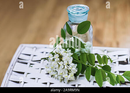 Bündel von weißen Blumen Akazie in der Nähe der Flasche Medizin. Sammlung von Kräutern in der Saison. Branchen, Robinia pseudoacacia Robinie, falsche Akazie. Stockfoto