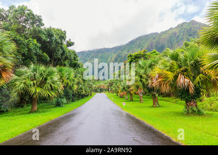 Strasse In Hoomaluhia Botanischen Garten Oahu Hawaii Stockfoto