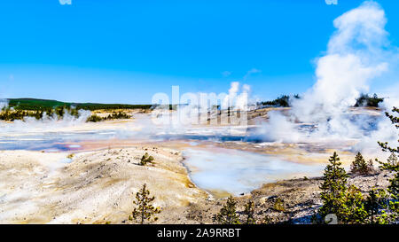 Knistern See im Porzellan Becken von Norris Geyser Basin area im Yellowstone National Park in Wyoming, Vereinigte Staaten von Amerika Stockfoto