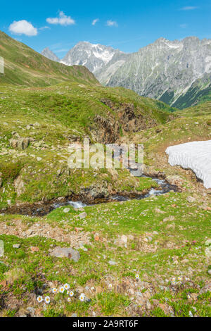 Glazial-fed Creek Carving kleinen Canyon die Berge hinunter durch üppige Wiesen und Rasen alpine Skipisten in den italienischen Alpen. Stockfoto