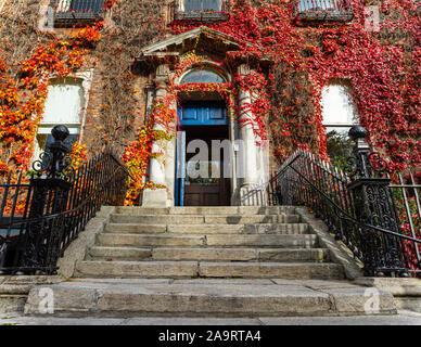 Boston Efeu Kriechgang Parthenocissus tricuspidata Laubfärbung im Herbst Herbst Jahreszeit auf Wand der georgischen Haus mit Steinfassade und Schritte Stockfoto