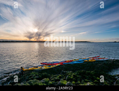 Lamb Island, Firth of Forth, Schottland, Vereinigtes Königreich. November 2019. Kajakfahrer auf der Lothian-See fahren nach Lamb Island. Der Seekajak-Club macht im Winter jedes Jahr eine Reise nach ‘Malvé Bash', um die Insel von Baummalchen zu befreien, die Papageientaucher daran hindern, Höhlen zu machen. Die Insel ist schwer mit dem Boot zu landen, aber mit dem Kajak erreichbar, obwohl es aufgrund des Anschwellens schwierig ist, wieder in die Kajaks zu kommen Stockfoto