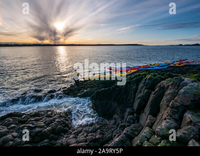 Lamb Island, Firth of Forth, Schottland, Vereinigtes Königreich. November 2019. Kajakfahrer auf der Lothian-See fahren nach Lamb Island. Der Seekajak-Club macht im Winter jedes Jahr eine Reise nach ‘Malow Bash', um die Insel von Baummalchen zu befreien. Die Insel ist schwer mit dem Boot zu landen, aber mit dem Kajak erreichbar, obwohl es aufgrund des Anschwellens schwierig ist, wieder in die Kajaks zu kommen Stockfoto