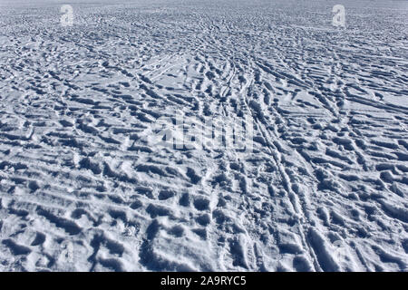 Eine Menge Fußspuren auf schneebedeckten Eis der gefrorenen Teich in einem sonnigen Winter Wetter Stockfoto