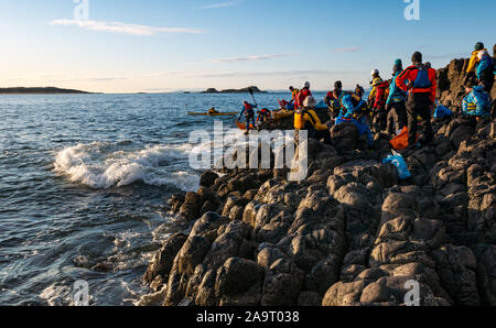 Lamb Island, Firth of Forth, Schottland, Vereinigtes Königreich. November 2019. Kajakfahrer auf der Lothian-See fahren nach Lamb Island. Der Seekajak-Club macht im Winter jedes Jahr eine Reise nach ‘Malvé Bash', um die Insel von Baummalchen zu befreien, die Papageientaucher daran hindern, Höhlen zu machen. Die Insel ist schwer mit dem Boot zu landen, aber mit dem Kajak erreichbar, obwohl es aufgrund des Anschwellens schwierig ist, wieder in die Kajaks zu kommen Stockfoto