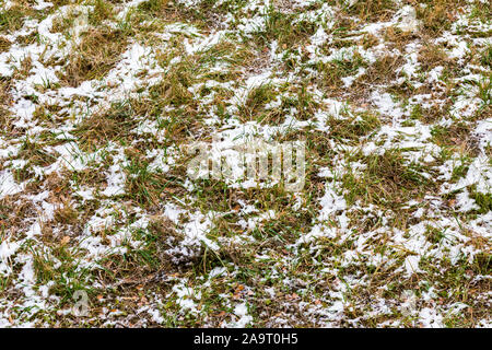 Der erste Schnee über grünes Gras und Herbstliche Blätter - Ansicht von oben Stockfoto