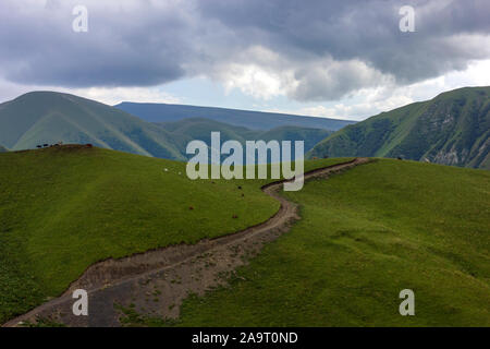 Russische region, Republik Tschetschenien, Kaukasus Stockfoto