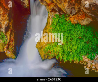 Fern Falls, Wadi Bani Khalid, Sultanat Oman Eastern Hagar Mountains, Arabische Halbinsel Stockfoto