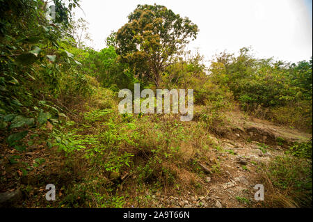 Zu Fuß durch die verlassenen Thak Dorf, berühmt durch Jim Corbett im Buch menschenfresser von Kumaon, Kumaon Hügel, Uttarakhand, Indien Stockfoto